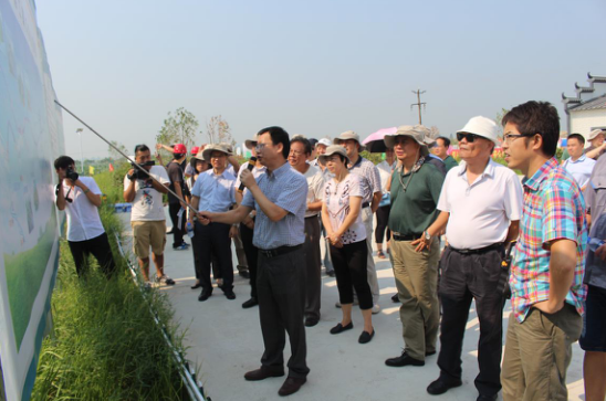 1501210448221054.png QQ图片20170728103552.png