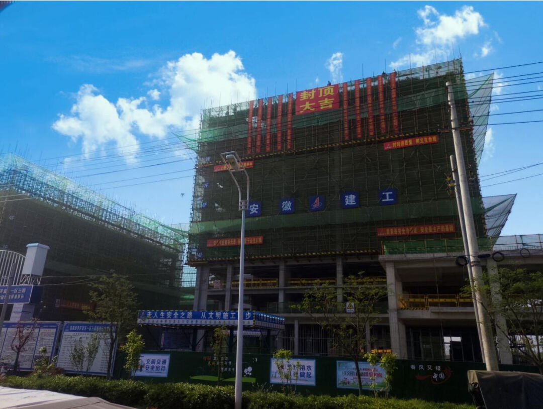 1702603100541837.jpg 表扬信5.jpg