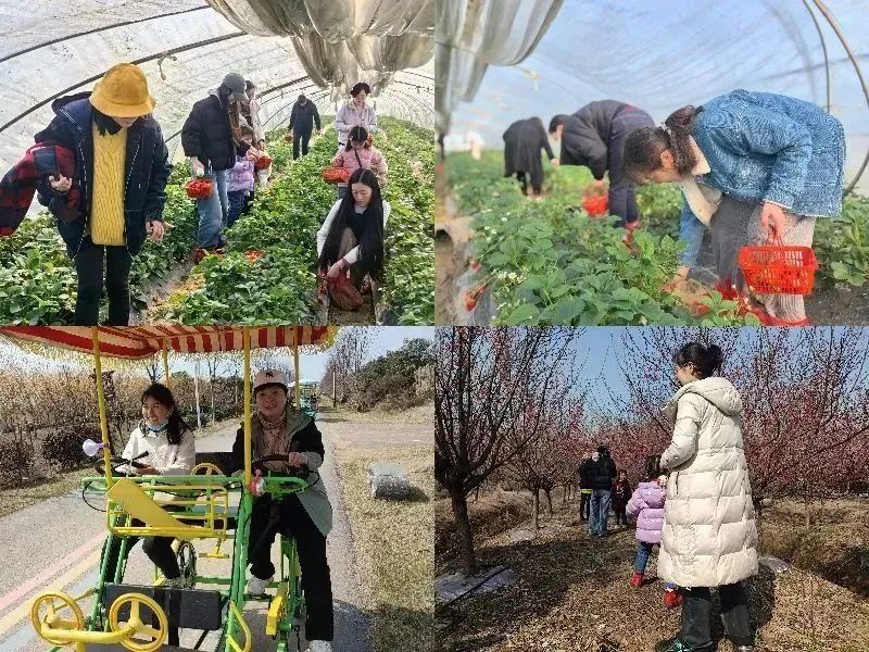 1709917792767245.jpg e02bc524ec33d9bab860807cba623468.jpg