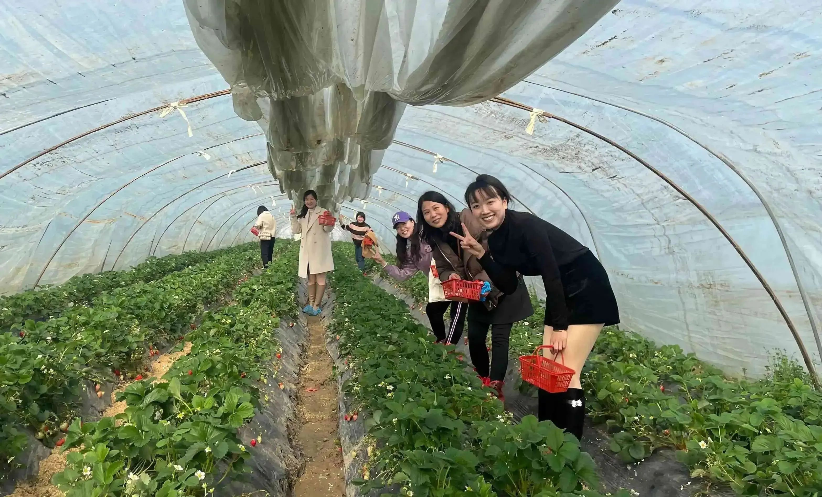 1709918131848726.jpg 1709918131848726.jpg