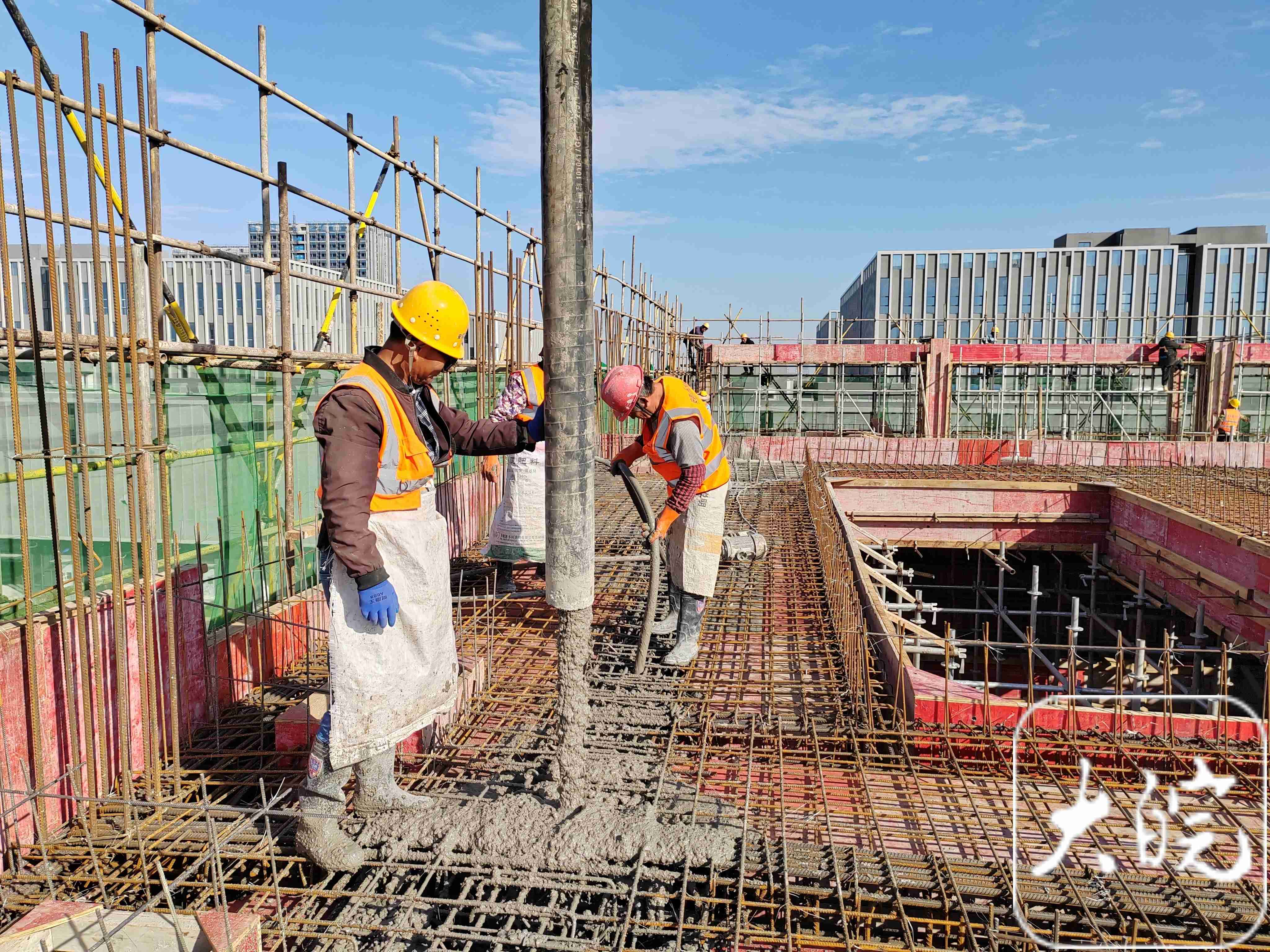 1729557149319398.jpg 大皖新闻22.jpg