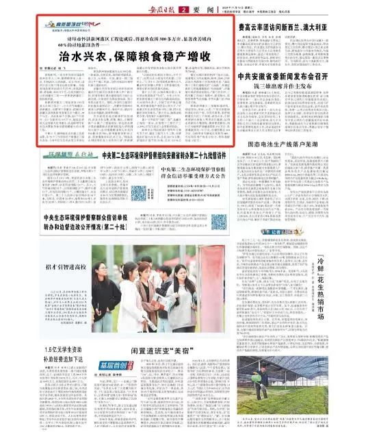 安徽日报24.jpg