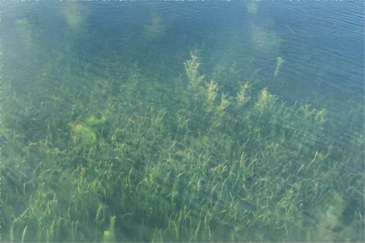 1757378726145146.png 1.png